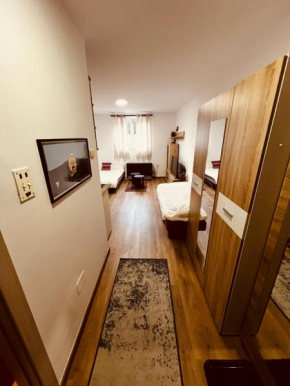 Gondola Ski Apartman Bele Staze 6